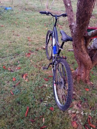 Bicicleta de Montaña Negra