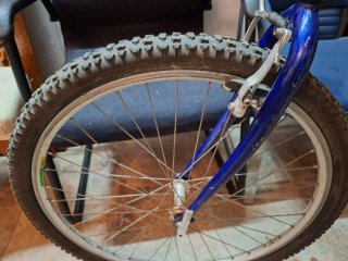 Bicicleta de Montaña Azul