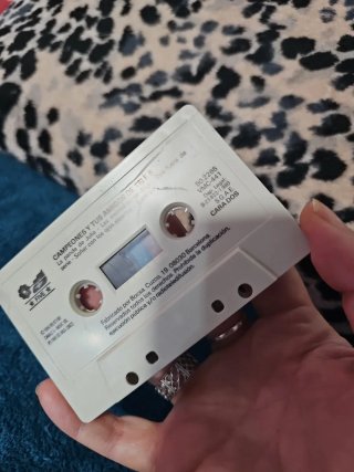 Cassette Campeones y tus amigos de Tele 5 (1990)