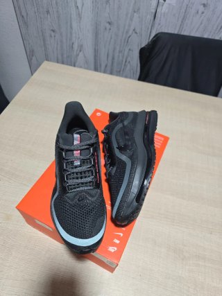 Zapatillas Nike Pegasus premium