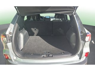 Ford Kuga 1.5 EcoBoost S&S Titanium 4x2 110 kW (150 CV)