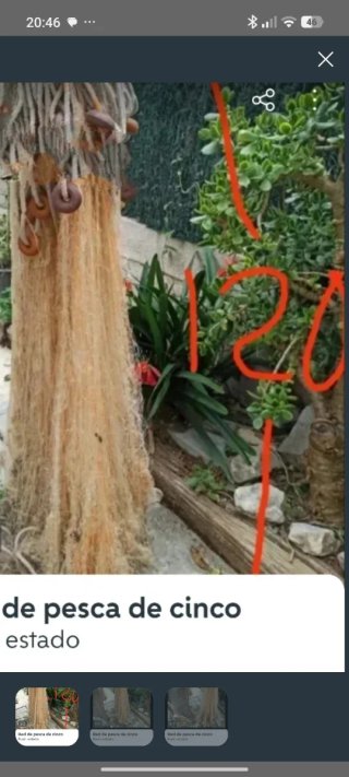 Red malla del 5