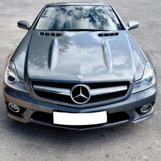 Mercedes-Benz SL 2009