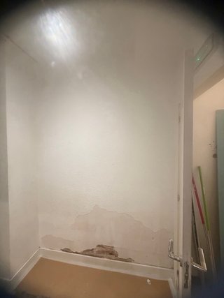Servicios de Pintura y Alisado de Paredes