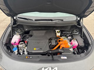KIA Niro 1.6 GDi HEV Concept
