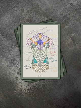 Reproducción artística A3 - Anatomía Espalda