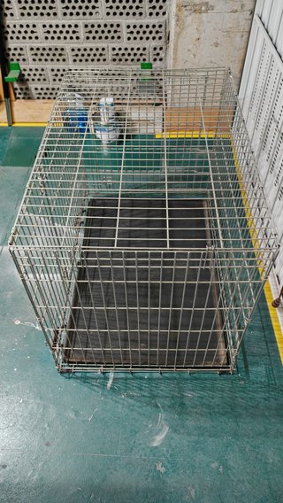 Jaula Grande Perro Plegable Galvanizado Savic