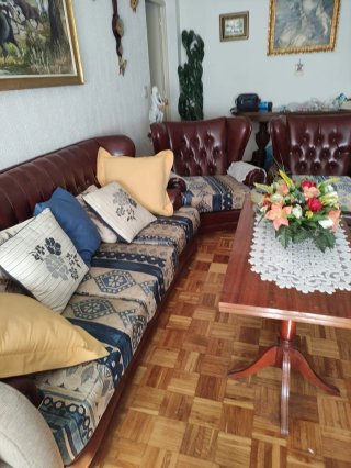 Sofá y sillones de piel