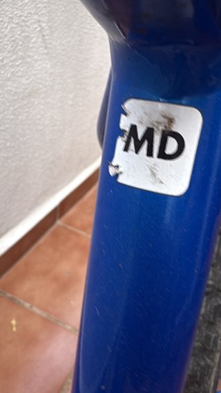 Bicicleta de Montaña BH Azul