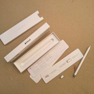 Apple Pencil 1ª Generación