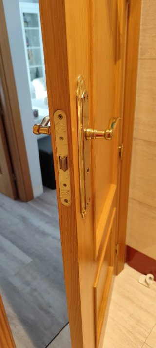 Puerta de interior de madera