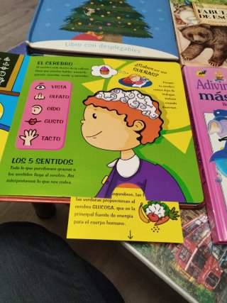 Libros desplegables
