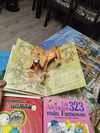 Libros desplegables