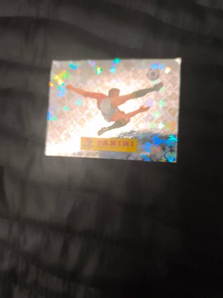 Cromo Panini Mundial