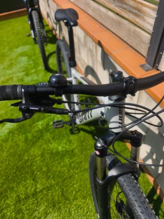 Bicicleta BTT Giant Gris talla M