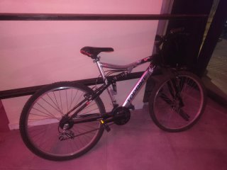 Bicicleta Top Bike Aluminio