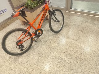 Bicicleta Infantil B-PRO JR-20 (20)