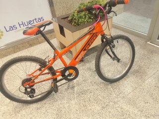 Bicicleta Infantil B-PRO JR-20 (20)