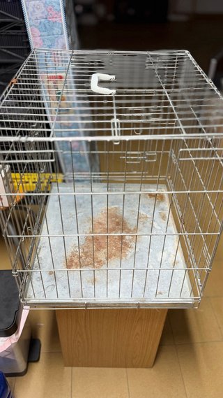 Jaula para perro metálica
