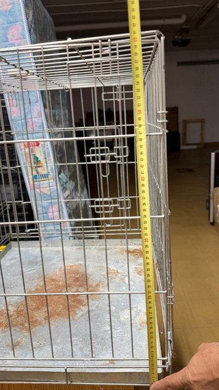 Jaula para perro metálica