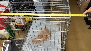 Jaula para perro metálica