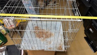 Jaula para perro metálica