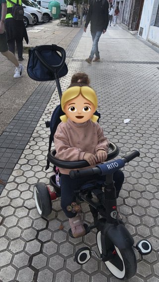 Triciclo Evolutivo Rito