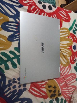Portátil Asus Chromebook Gris