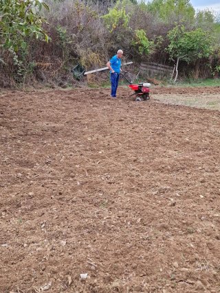 Jardinero profesiona
