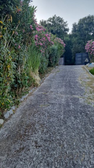 Jardinero profesiona