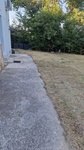 Jardinero profesiona