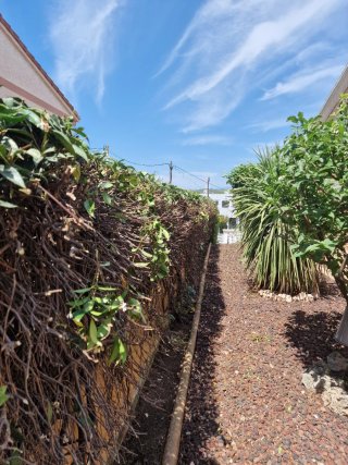 Jardinero profesiona