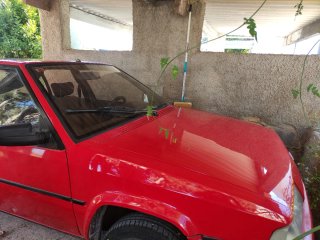 Citroen bx 1988