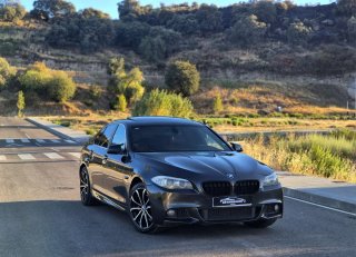 BMW Serie 5 2010