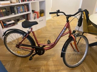 Bicicleta paseo Amat Florida