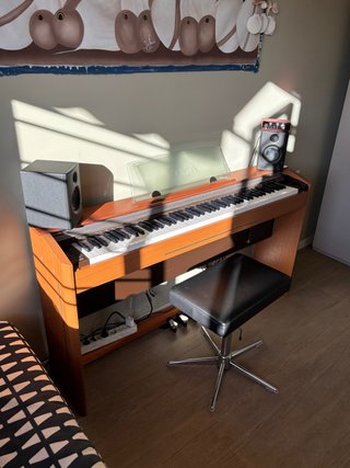Piano Digital Casio Privia PX800