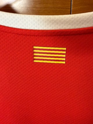 Camiseta Girona FC Puma 2019/20 Marathonbet Talla