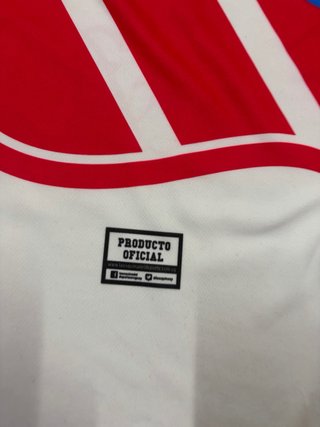 Camiseta Homenaje Loco Abreu