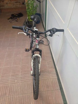 Bicicleta de montaña plateada