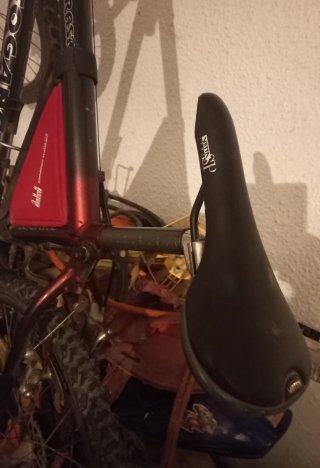 Bicicleta de Montaña