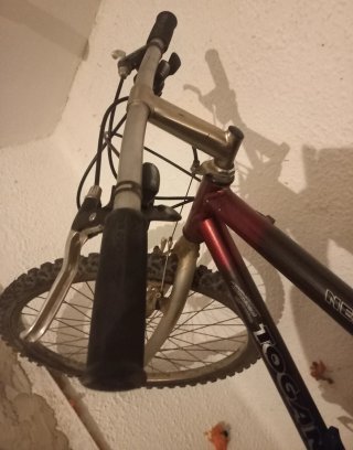 Bicicleta de Montaña