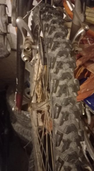 Bicicleta de Montaña