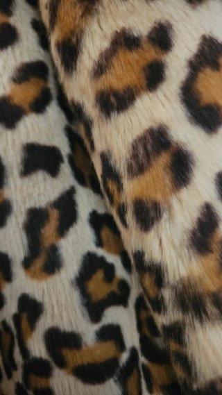 Abrigo de Leopardo