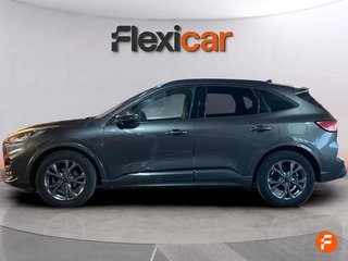 Ford Kuga ST-Line 2.0 EcoBlue 88kW (120CV) Auto