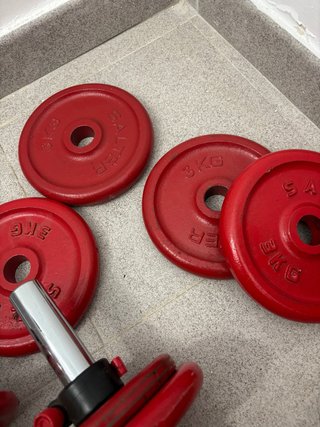 Mancuernas y discos perfectos. Peso total: 30kg