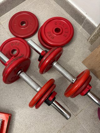 Mancuernas y discos perfectos. Peso total: 30kg