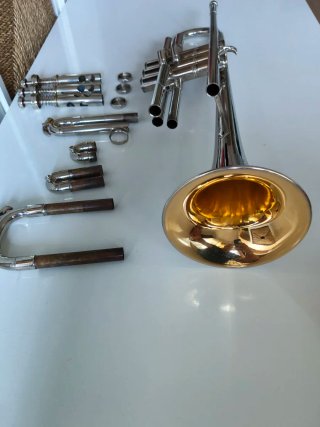 Trompeta Vintage "Gold Wash" bell