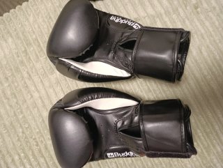 Guantes y espinilleras Buddha Boxeo