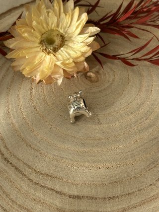 Charm Winnie de Pooh Tigre