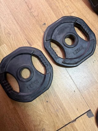 Dischi da palestra 1,25 kg